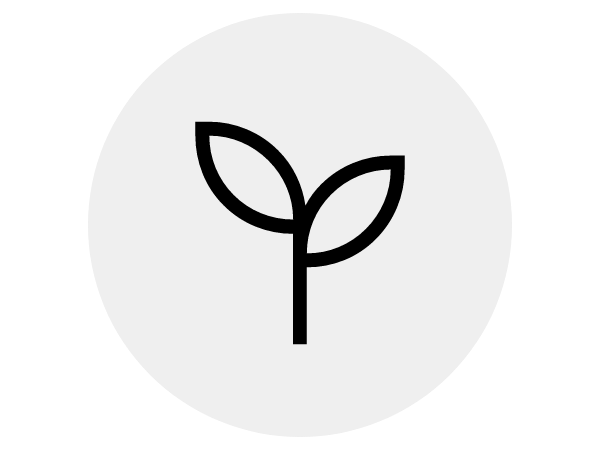 Eco-Chic Lenses Bundle
