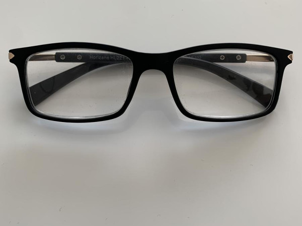 HORIZANE - HL221