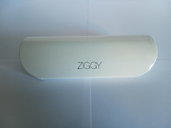 ZIGGY 2110 C2