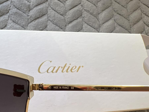 Cartier - CT0198S
