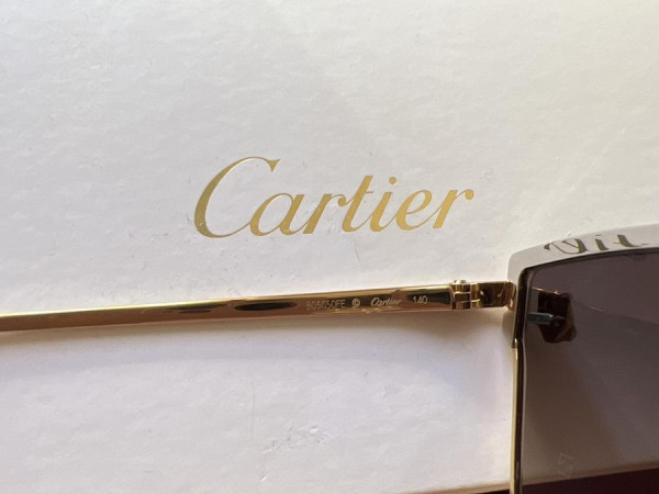Cartier - CT0198S