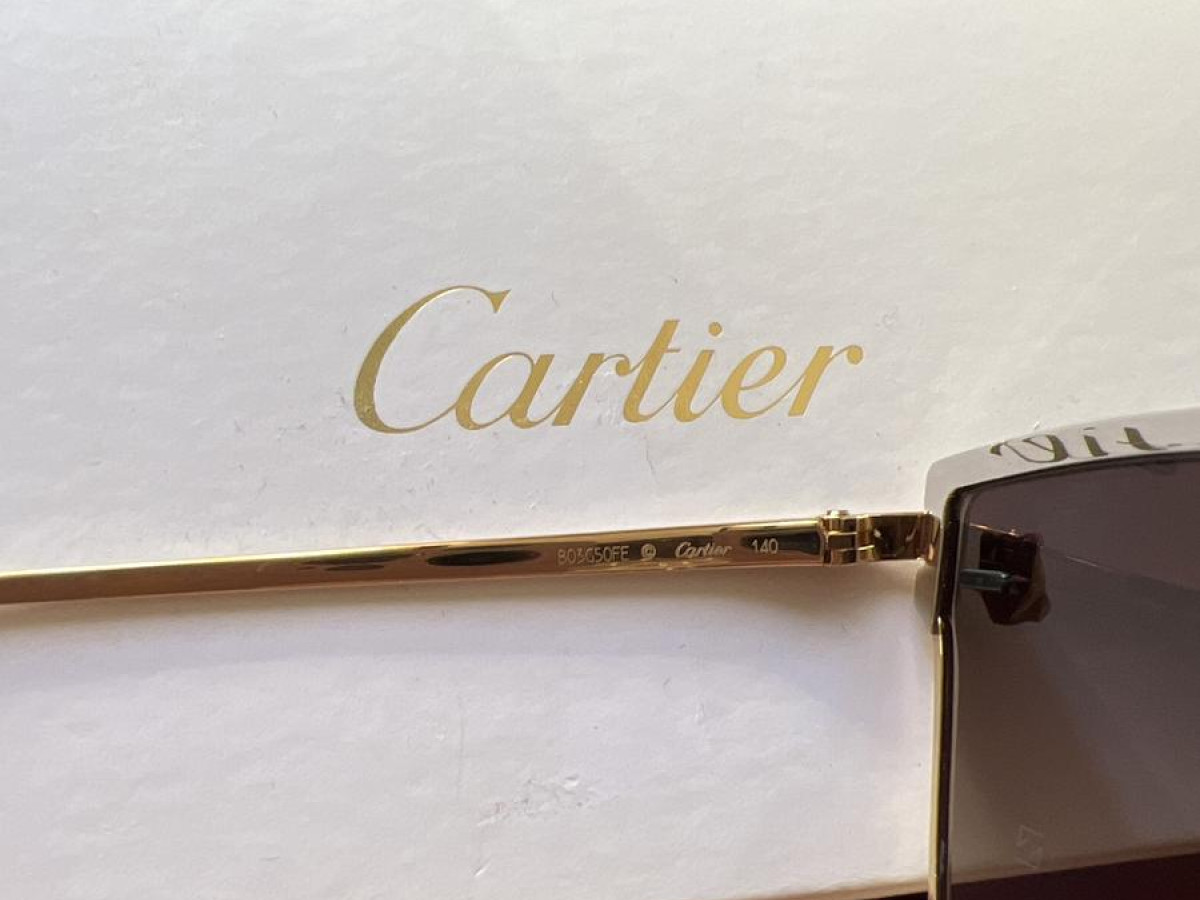 Cartier - CT0198S