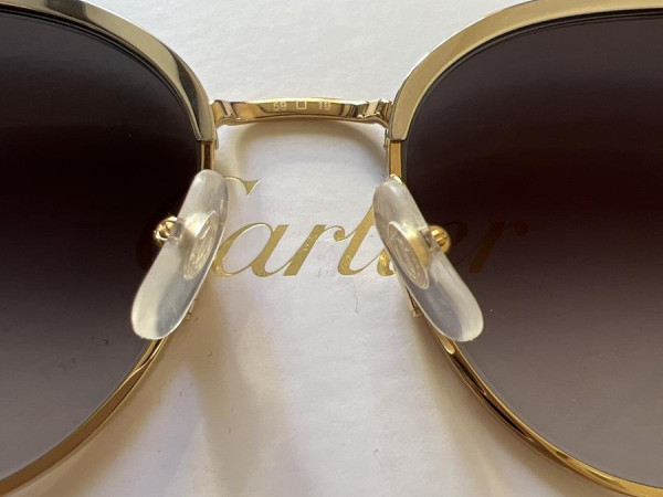 Cartier - CT0198S