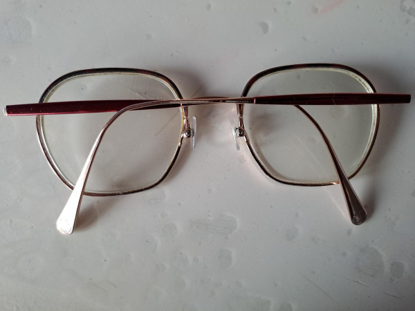 Ines de la fressange - ariane