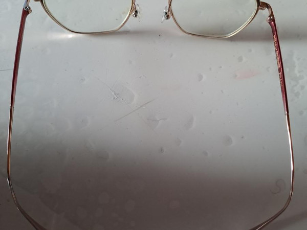 Ines de la fressange - ariane