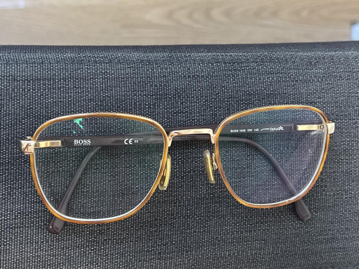 Lunettes de vue Hugo Boss Boss1048 Femme