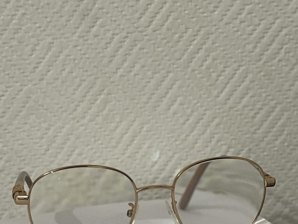 JIMMY CHOO - JC296/G