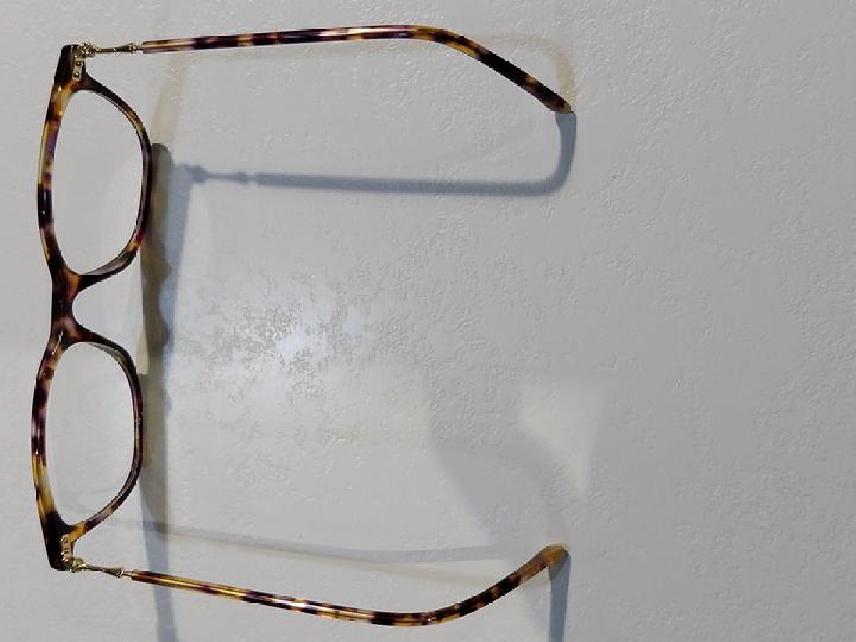 Whistler hillls little red deer 02 48 16 135