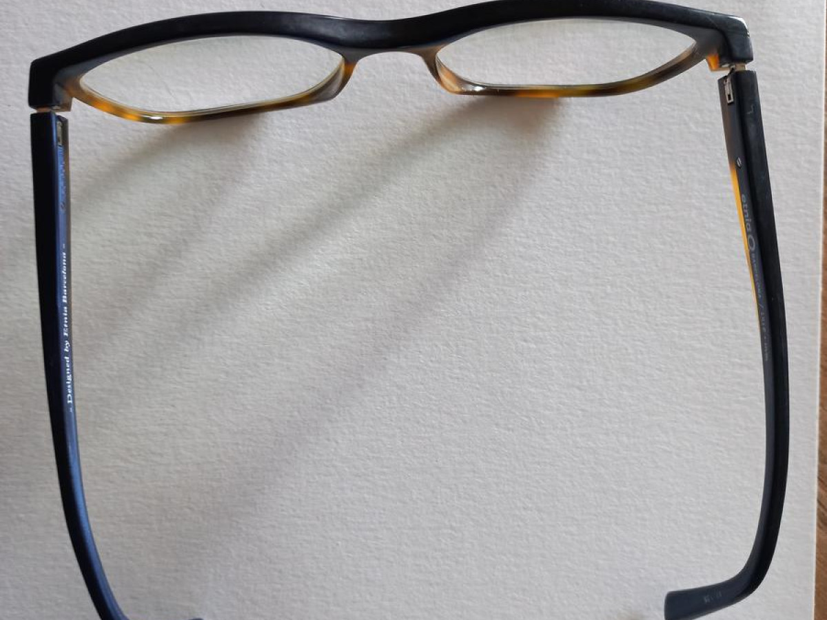 Etnia barcelonia - lille