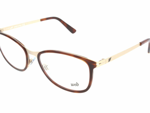 Web - WE5179