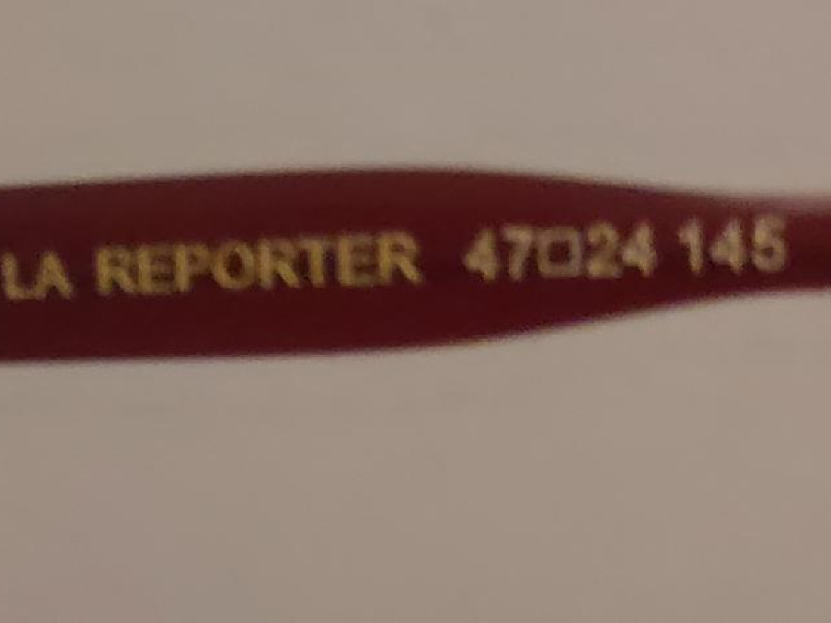 Le reporter cm276
