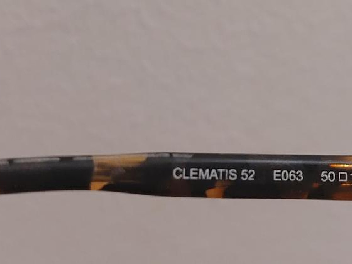 Paul & Joe - Clematis 52