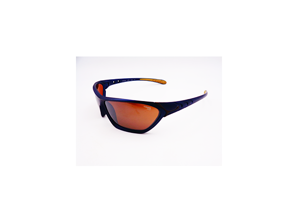 CEBE 2000-0073