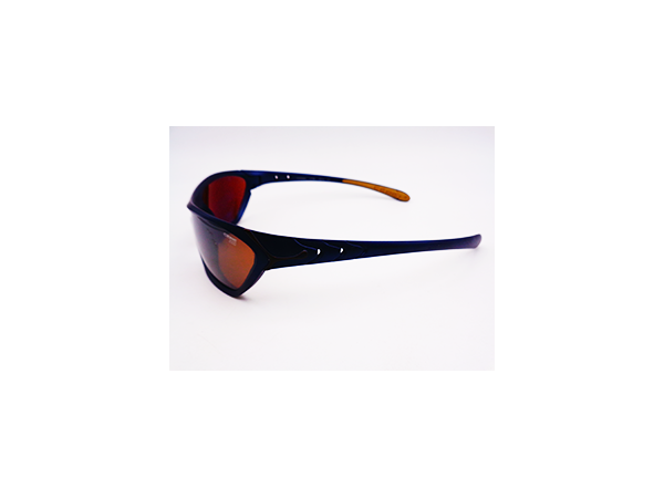 CEBE 2000-0073