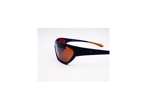 CEBE 2000-0073