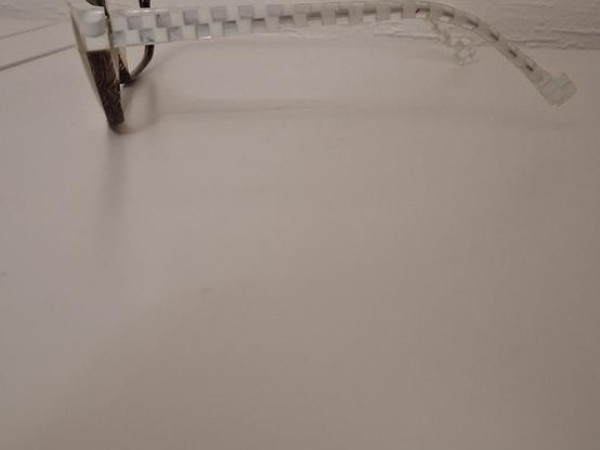 Etnia Barcelona - edinburgh