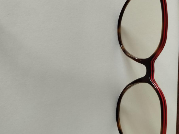 lunettes Level LE2278 ECAI