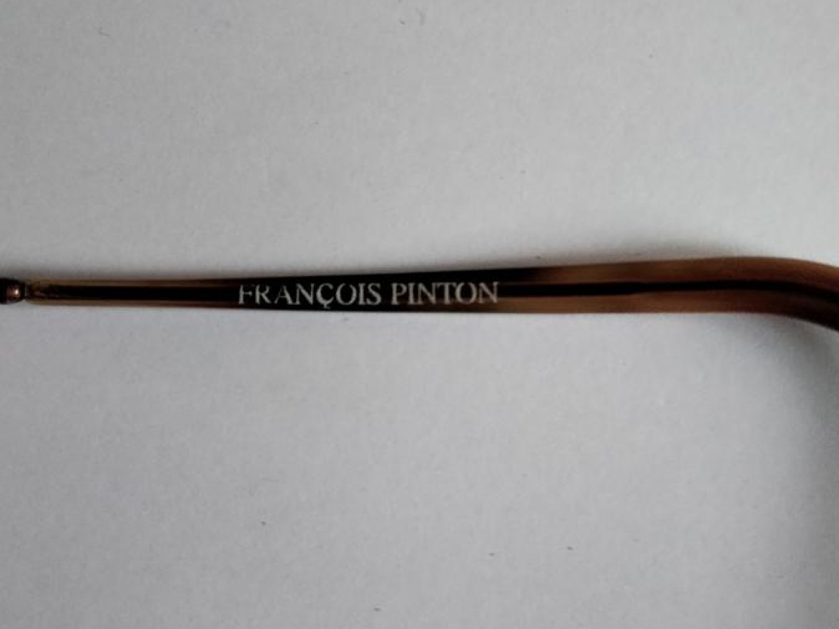 Fran&ccedil;ois Pinton