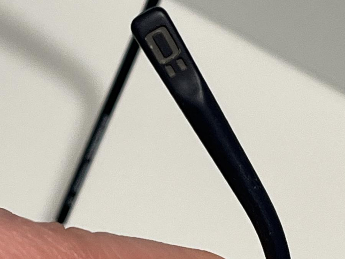 MOREL - ÖGA - 100620