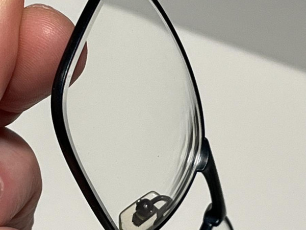 MOREL - ÖGA - 100620