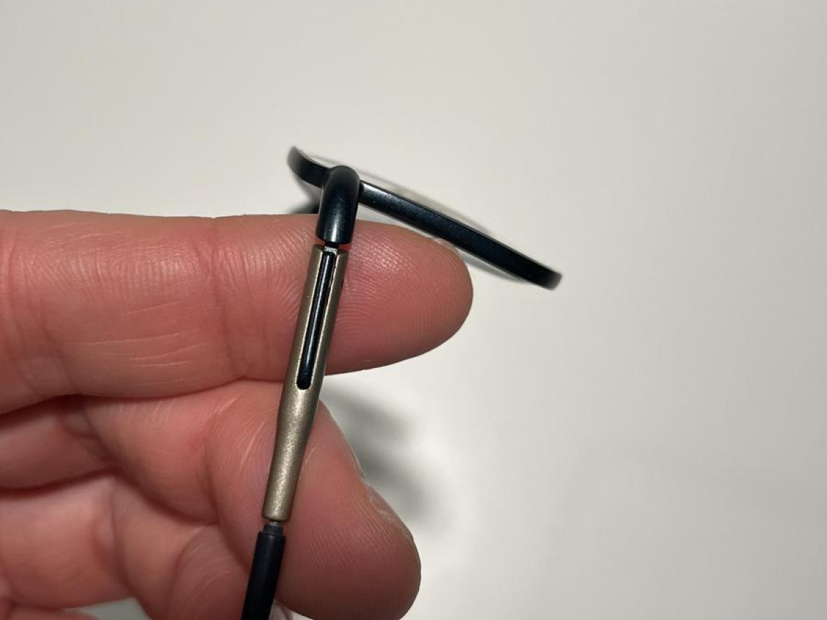 MOREL - ÖGA - 100620