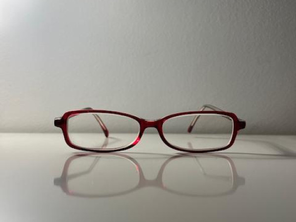 LACOSTE LD8020 F365 135