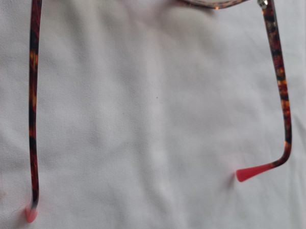 Xavier Garcia - Carina