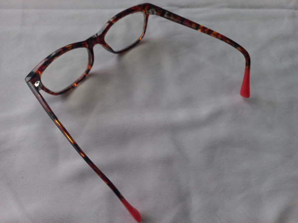 Xavier Garcia - Carina