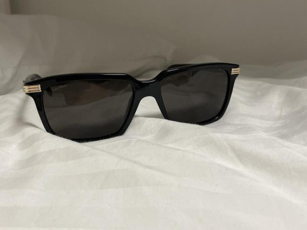 Cartier - CT0220S