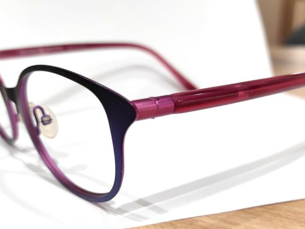 FRANCOIS PINTON - PC28