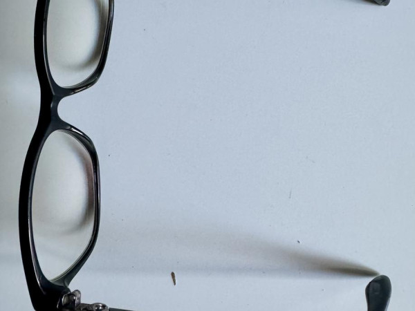 Paul & Joe - Phenix 21