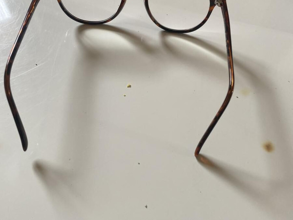 The One Plus - Tojf01 h h