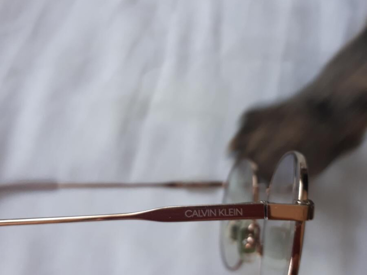 CALVIN KLEIN - CK19119