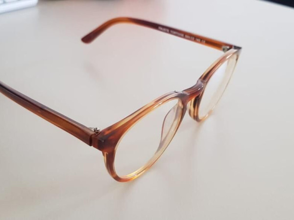 Acuitis - fauste tortoise