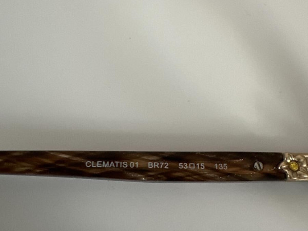 PAUL & JOE - clematis01