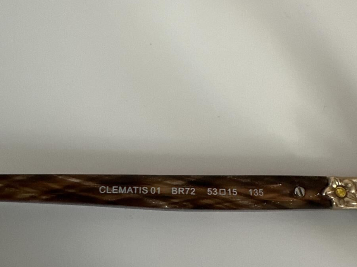 PAUL & JOE - clematis01