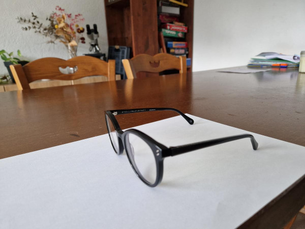 Stella Mccartney- SC0081O 001