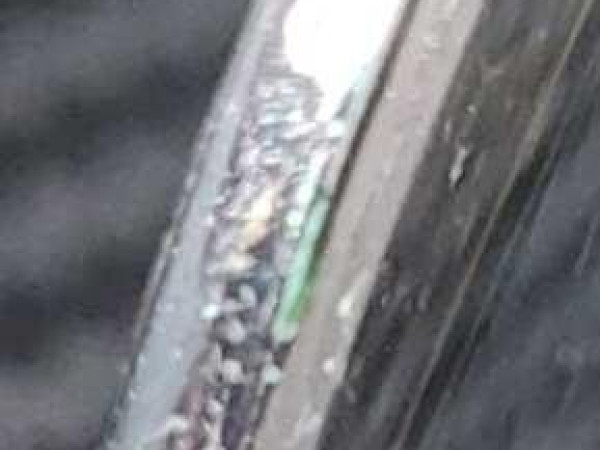 Gucci - GG0605O 001 52