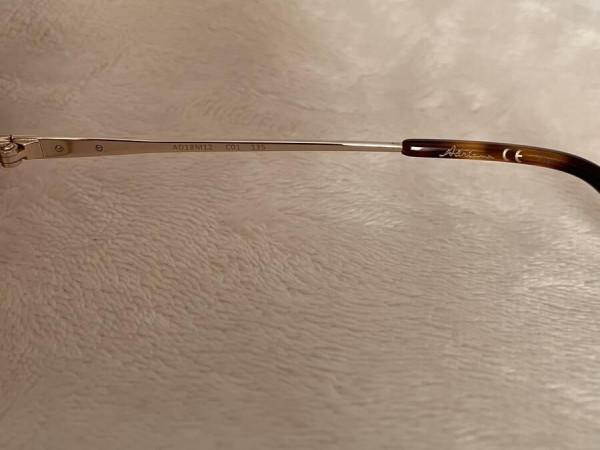 Adriana Karembeu AD1BM12