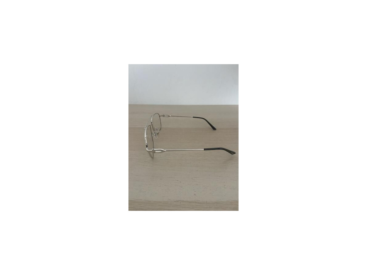 Cartier CT0364S 001 Silver grey,