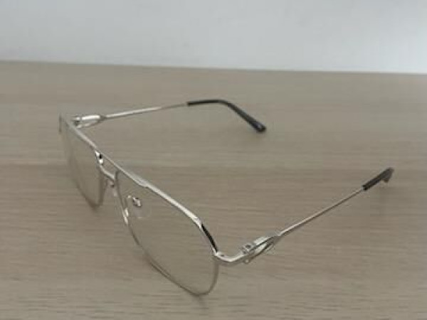 Cartier CT0364S 001 Silver grey,