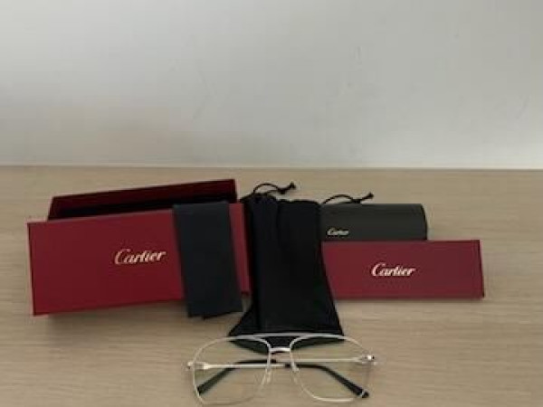 Cartier CT0364S 001 Silver grey,