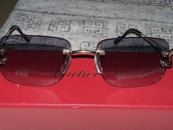 Cartier - ct0330s