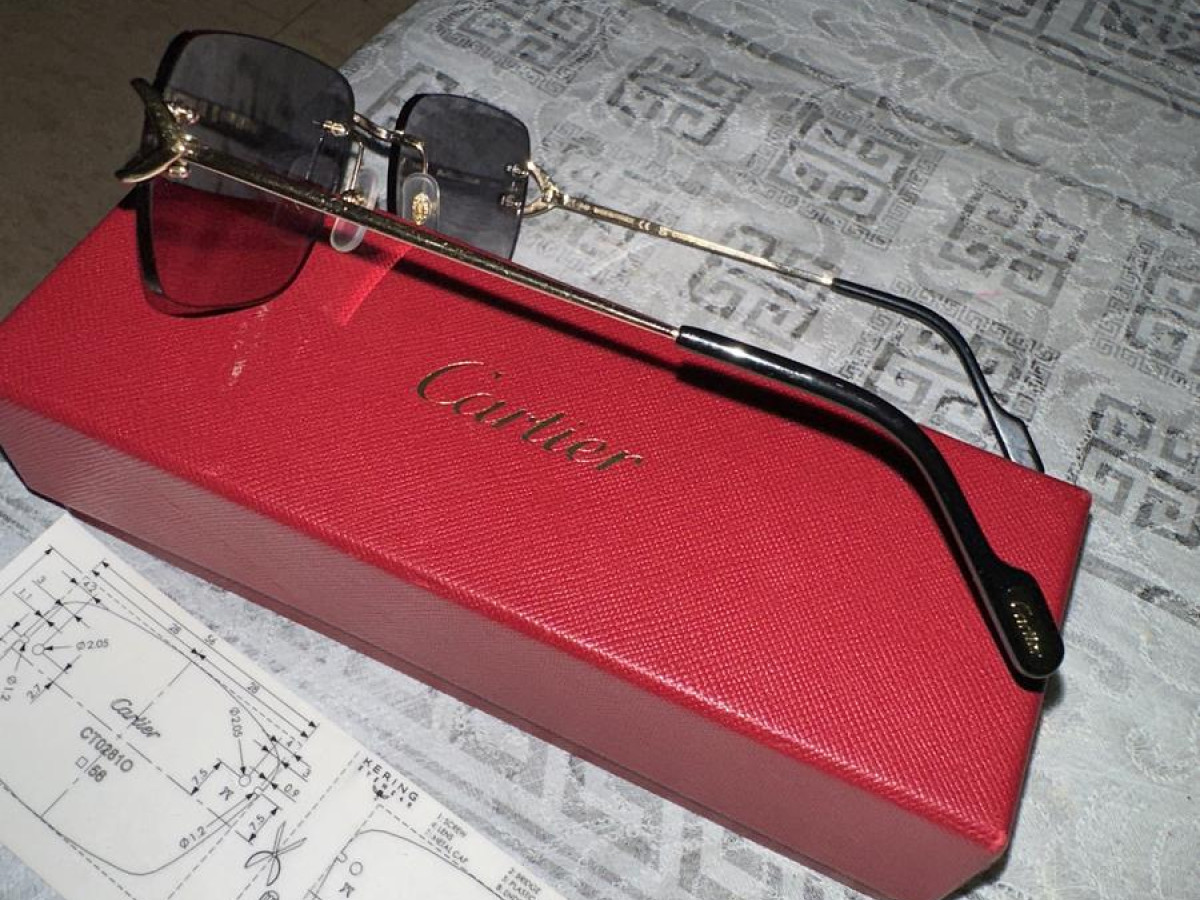 Cartier - ct0330s