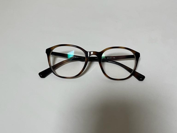 EMPORIO ARMANI - EA3079