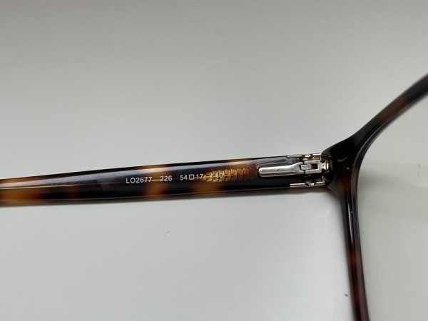 Longchamp - LO2677 226