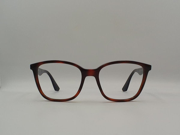 RAY-BAN RB7066