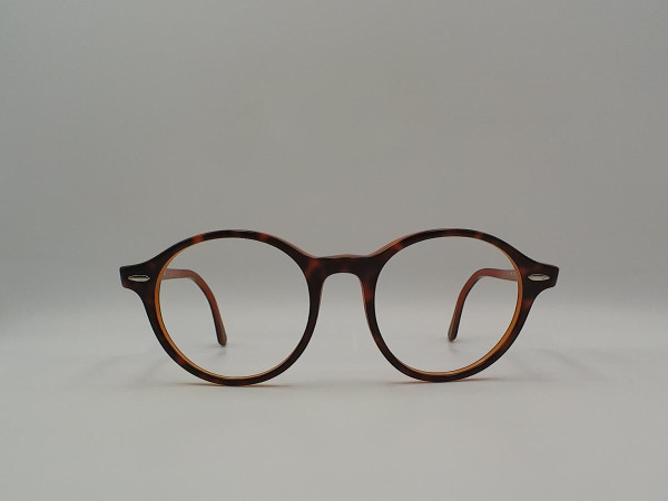 RAY-BAN RB7118