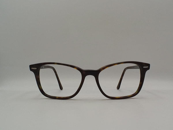 RAY-BAN RB 7119