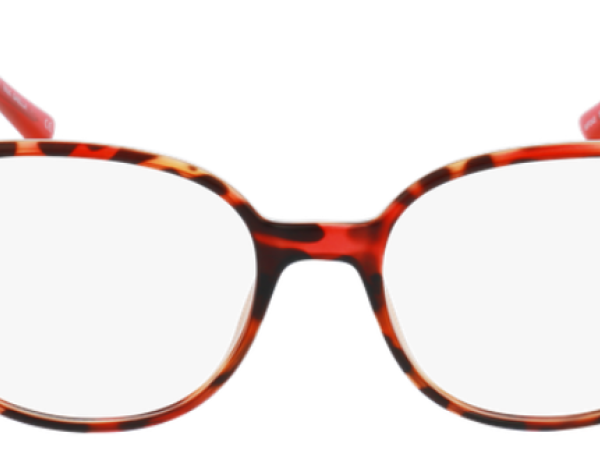 Alain Afflelou MF 045